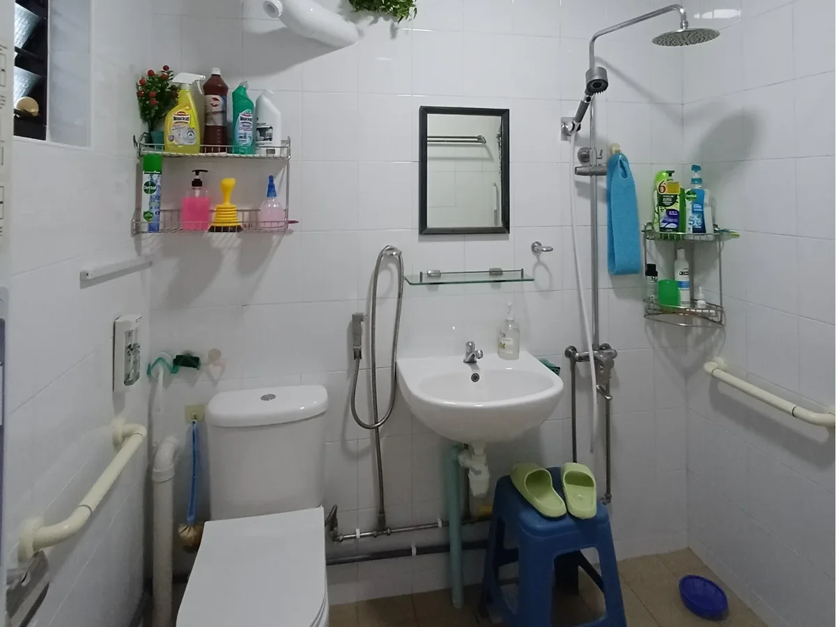 Accessible bathroom fittings